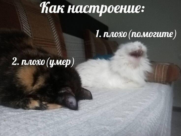 Я пока что 1.