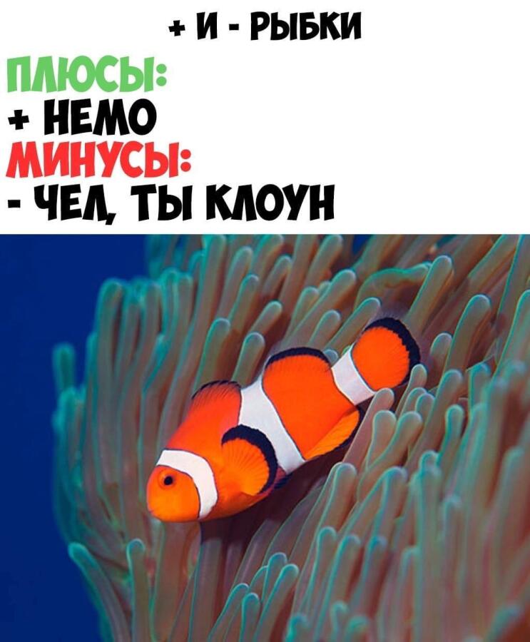 Мем от misfortune official