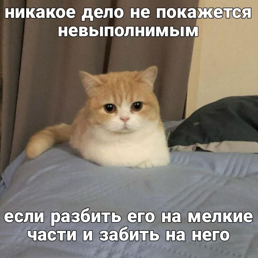 Мем от misfortune official