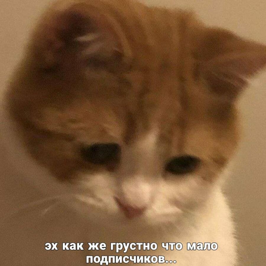 Начинашки, не грустите.)✨️✨️✨️✨️✨️✨️✨️✨️✨️✨️🪄
На вас подп...