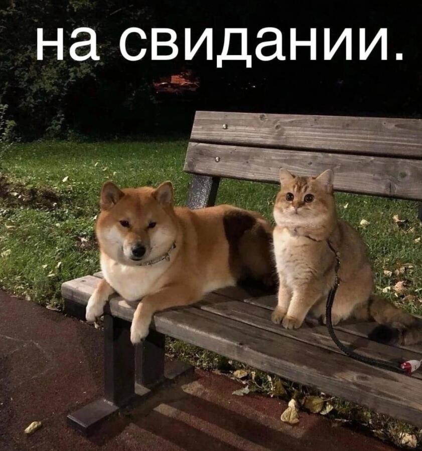 Мем без подписи
