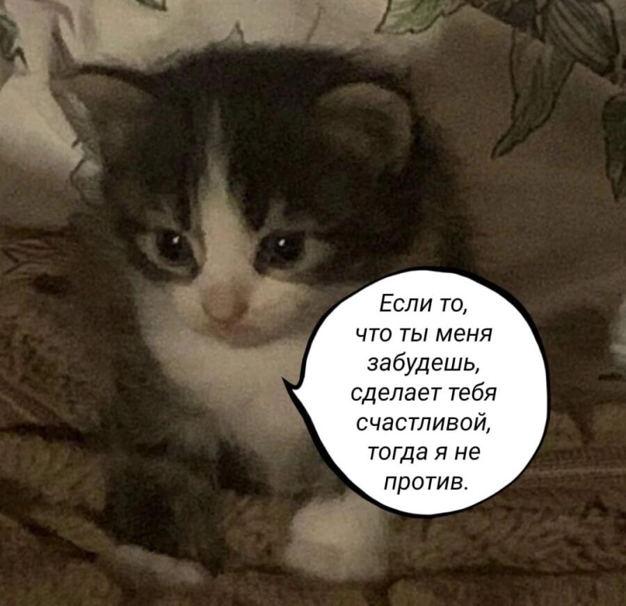 Мем без подписи