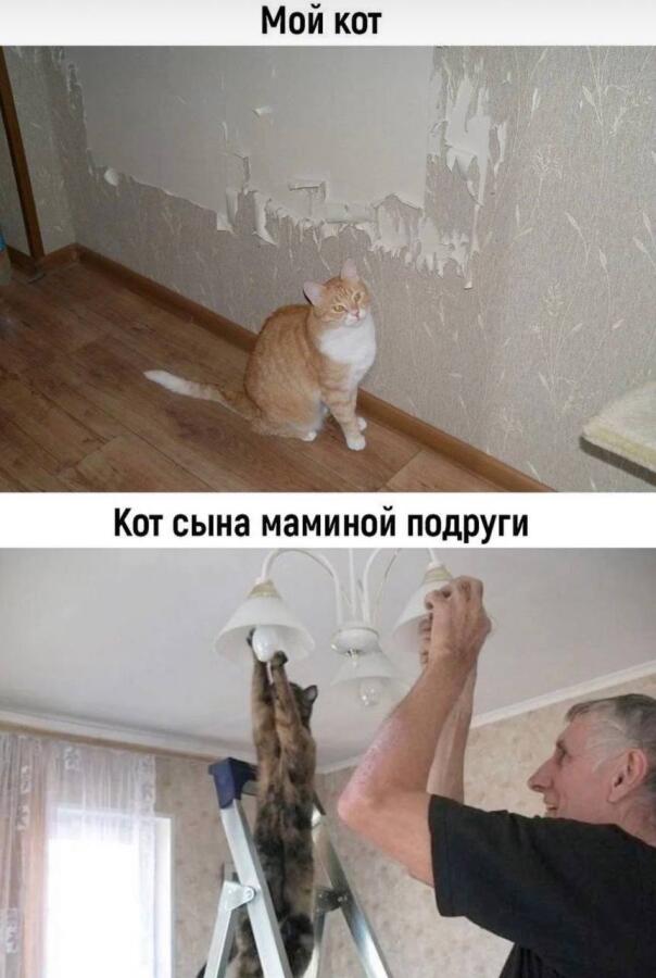 Мем от misfortune official