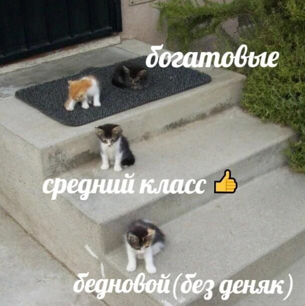 Мем от misfortune official