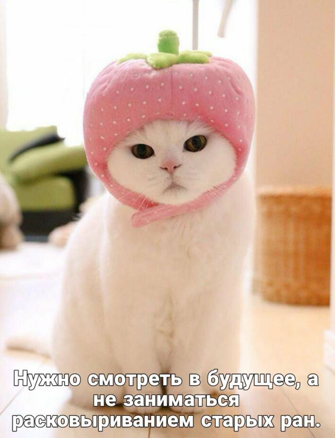 Мем от misfortune official