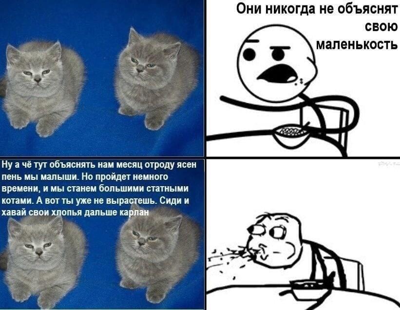 Мем от misfortune official