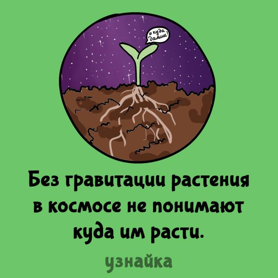 Мем без подписи
