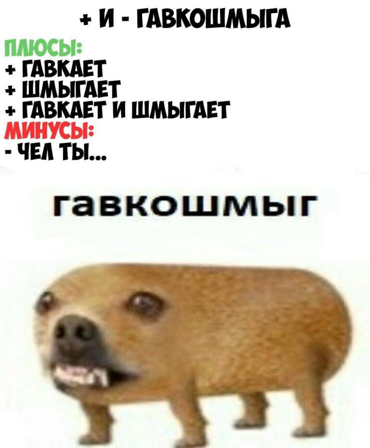 Мем от misfortune official