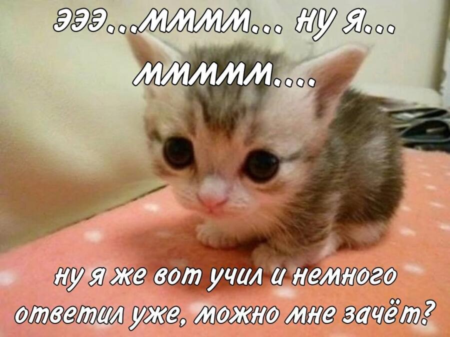 Мем без подписи