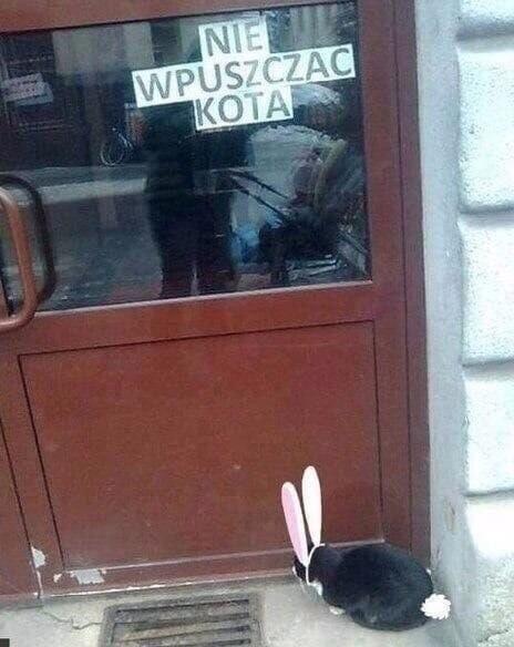 Мем без подписи