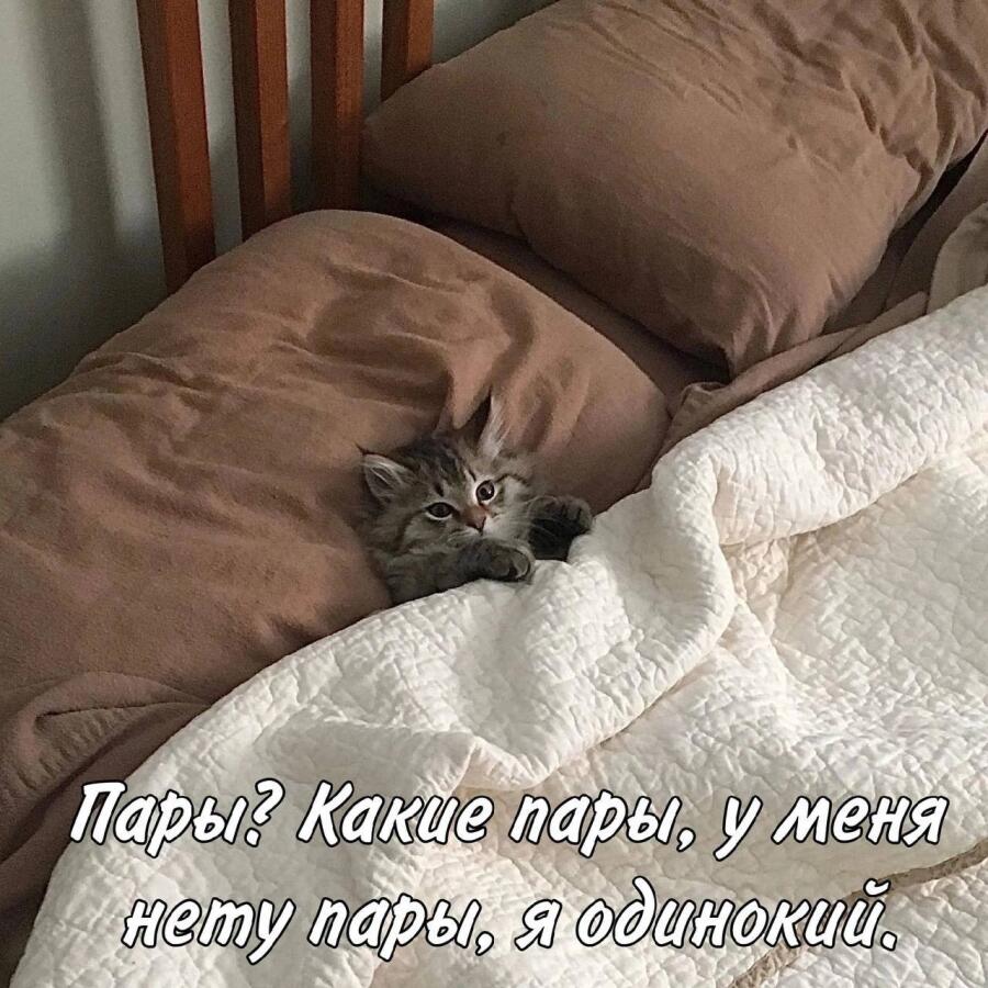 Мем без подписи