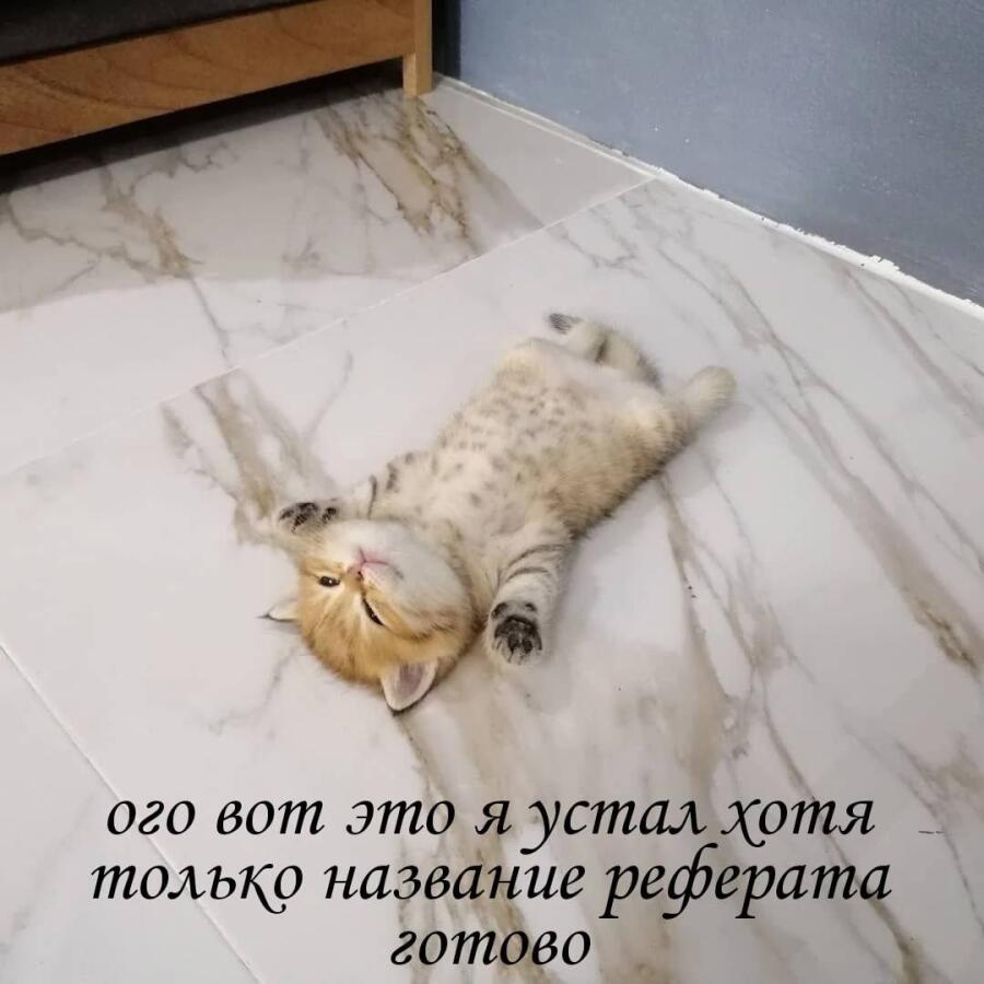 Мем от misfortune official