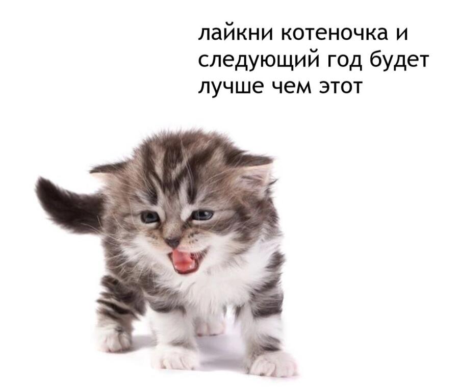 ✨✨✨✨✨✨✨✨✨✨  ✨✨✨✨✨✨✨✨✨✨  ✨✨✨✨✨✨✨✨✨✨...