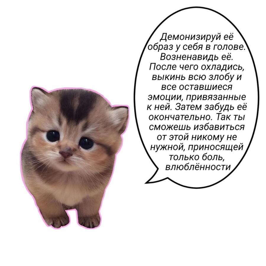 Мем от misfortune official