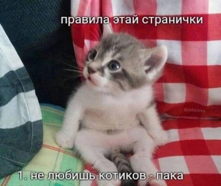 ✨️✨️✨️✨️✨️ И если не любишь блёстки, то тоже пока.)✨️✨️✨️✨️✨...