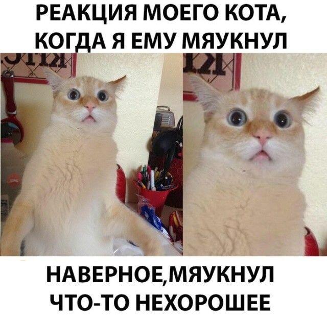 Мем от Darklega
