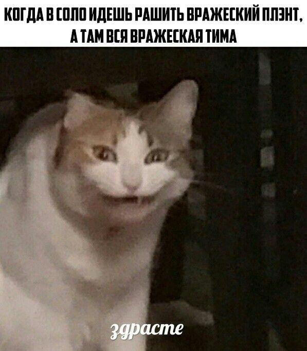 Мем от Darklega
