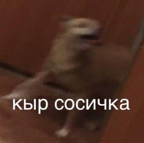 для иностранцев самое  сложное это мемы   ибо как обьяснить:  какар...
