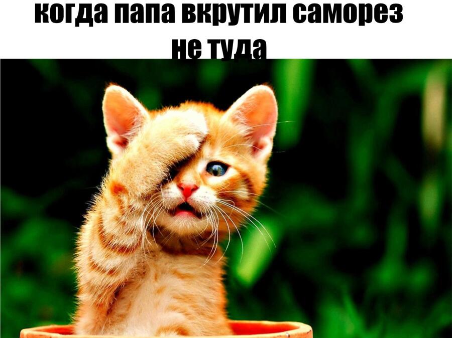 папа ошибся