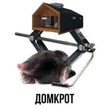 LOL