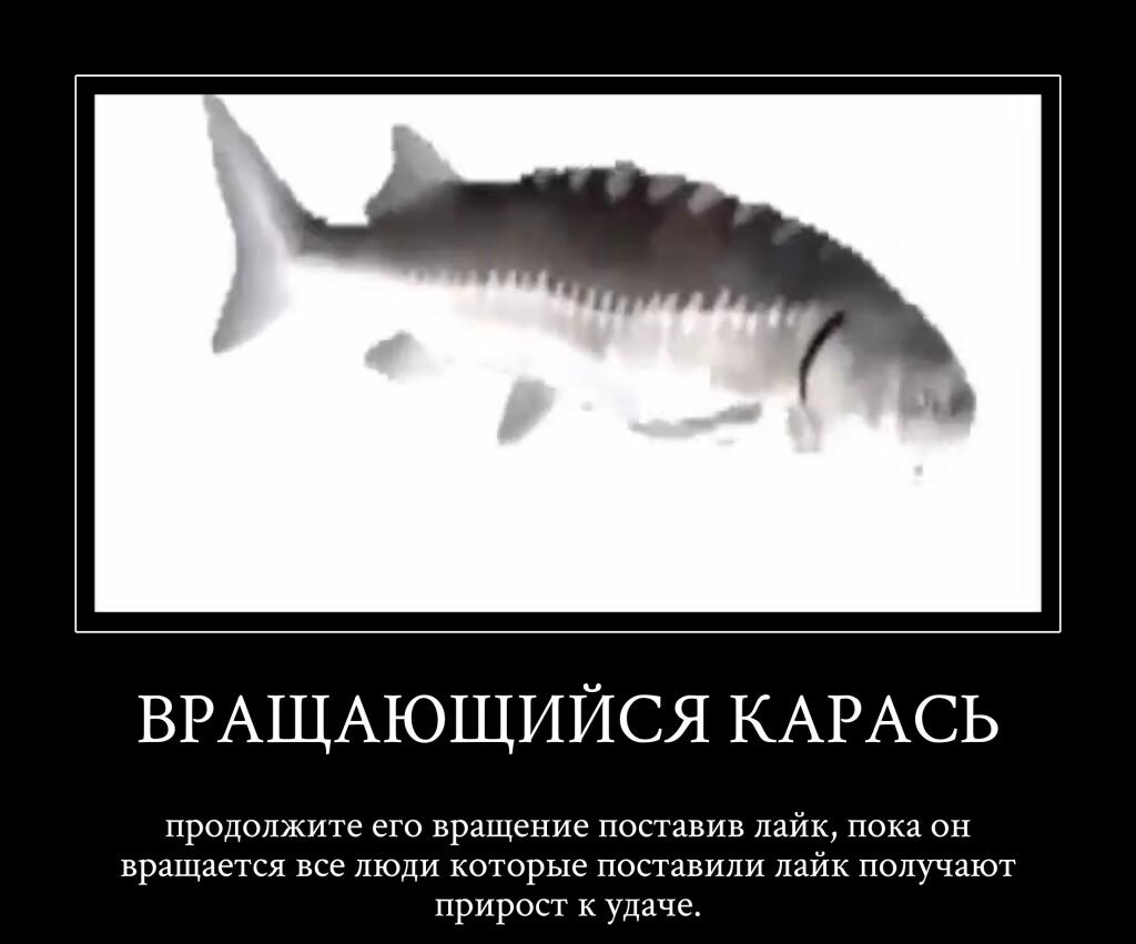 У меня уже в голове музыка играет