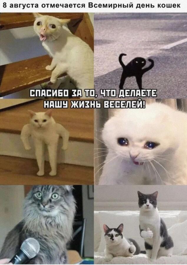 Мем без подписи