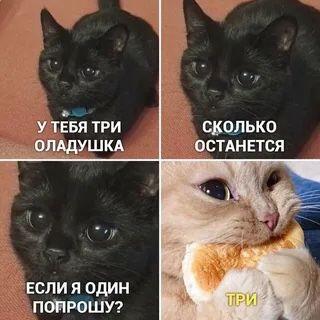 Мем без подписи