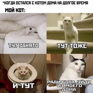 Мем от Марат
