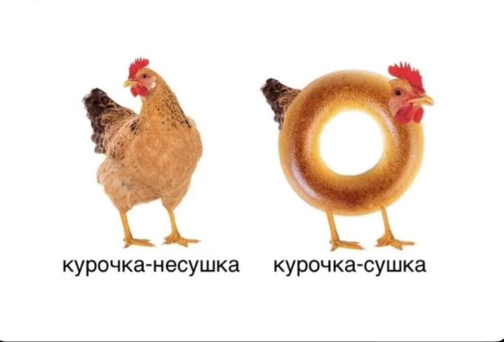 Слева обычная курица с подписью курочка-несушка, справа курица с телом из баранки с подписью курочка-сушка