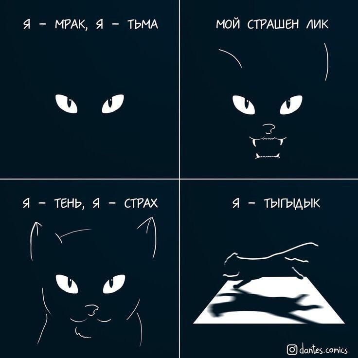 __