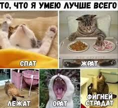 ___