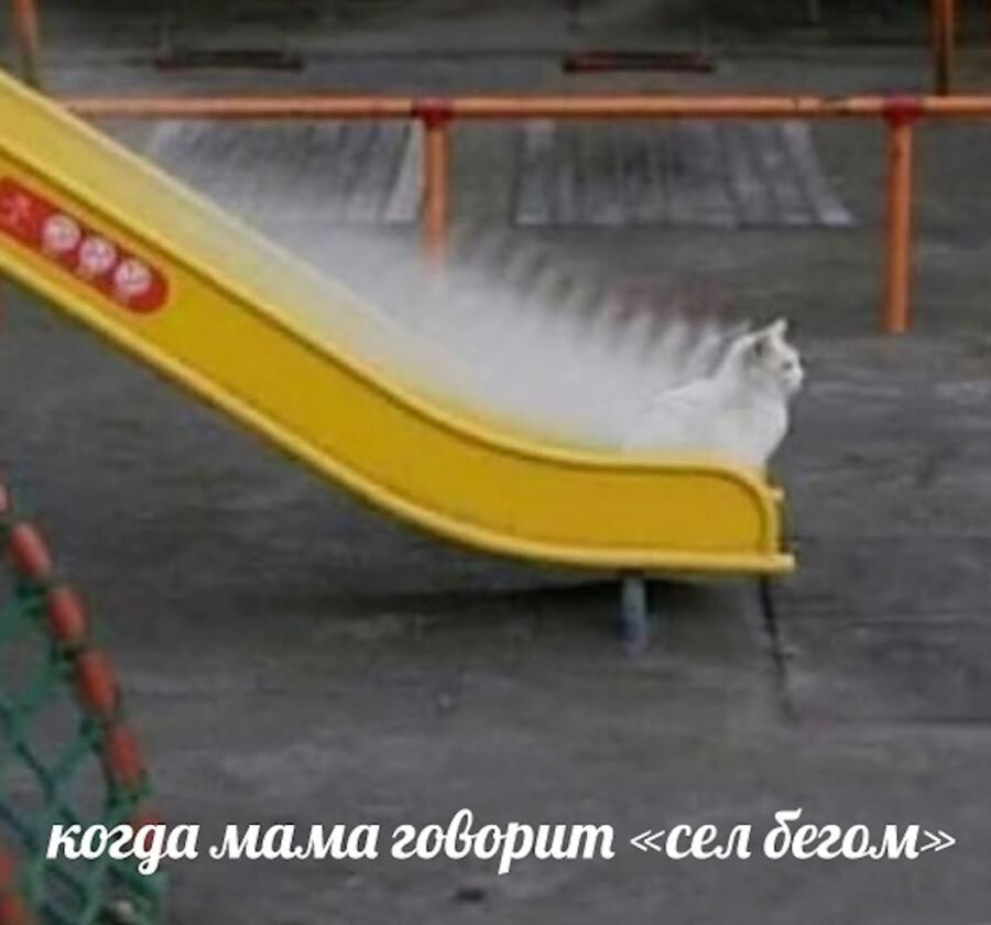 Мем от Посредственный шедевр