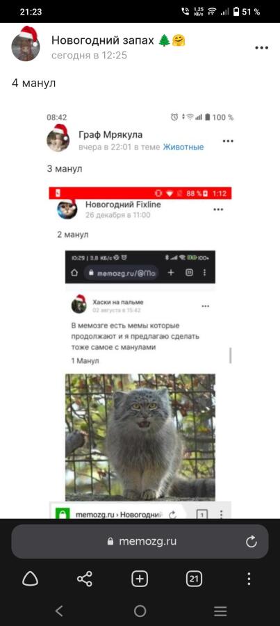5 манул
