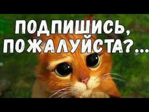 Подпежись пж