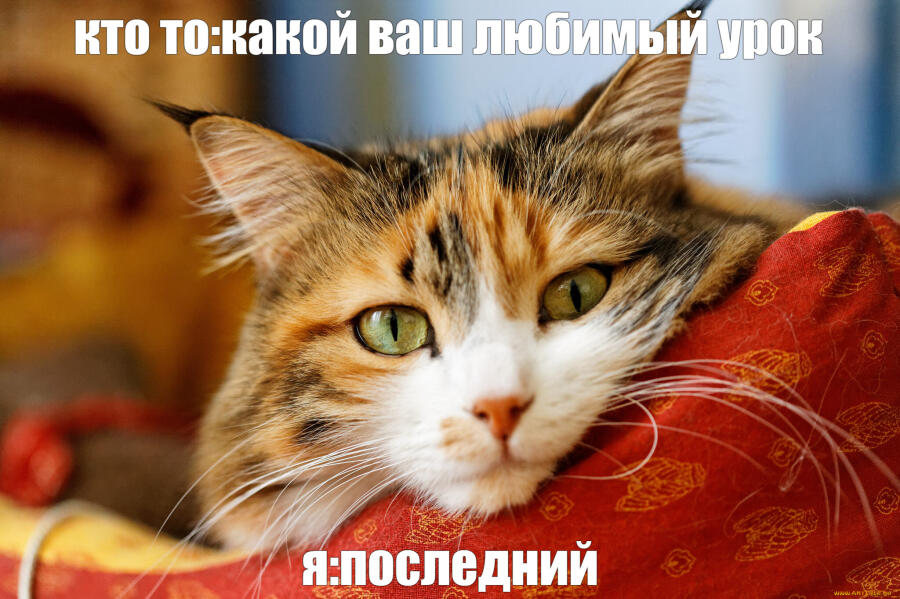 Мем от zashar