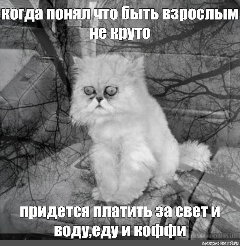 Мем от ГРАФ МРЯКУЛА