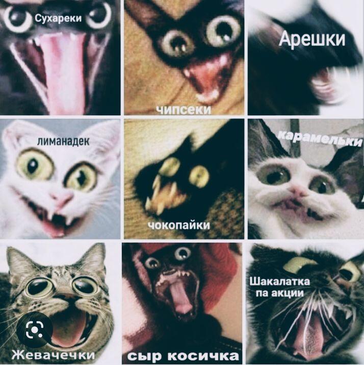 Я: куплю только САМОЕ необходимое я в магазине: