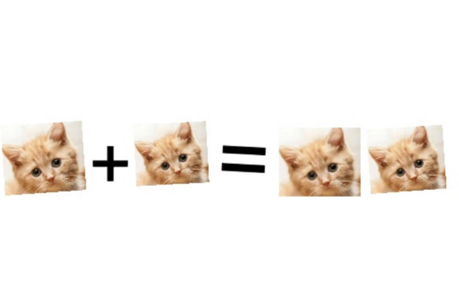 Котематика