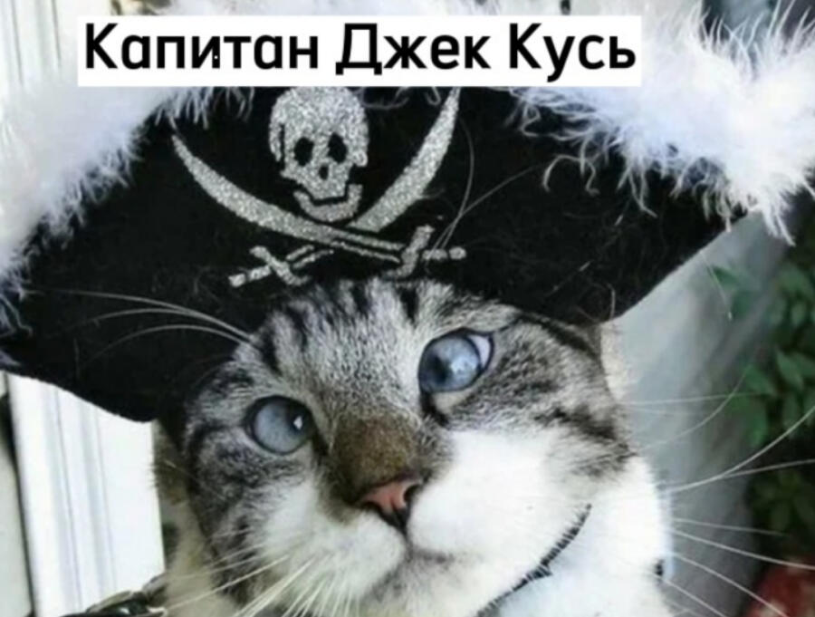Флот Чёрного Лотка:
