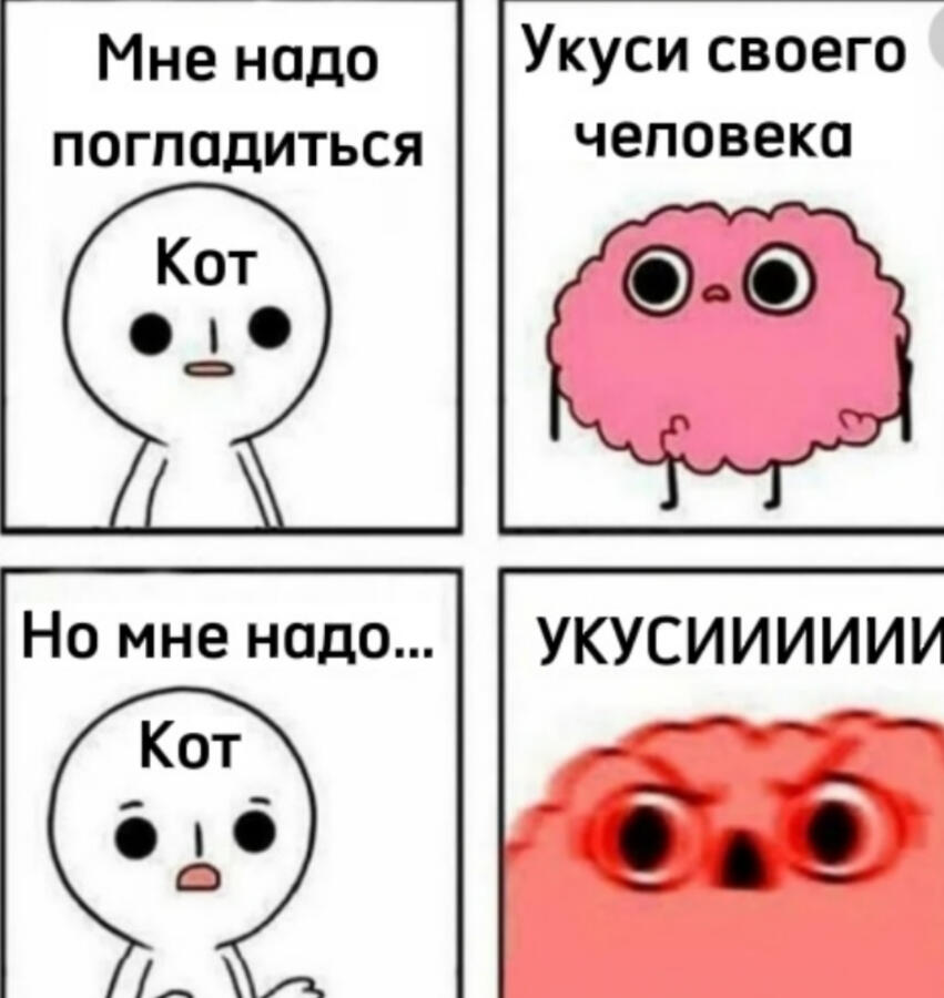 Кот и кошачий мозг:
