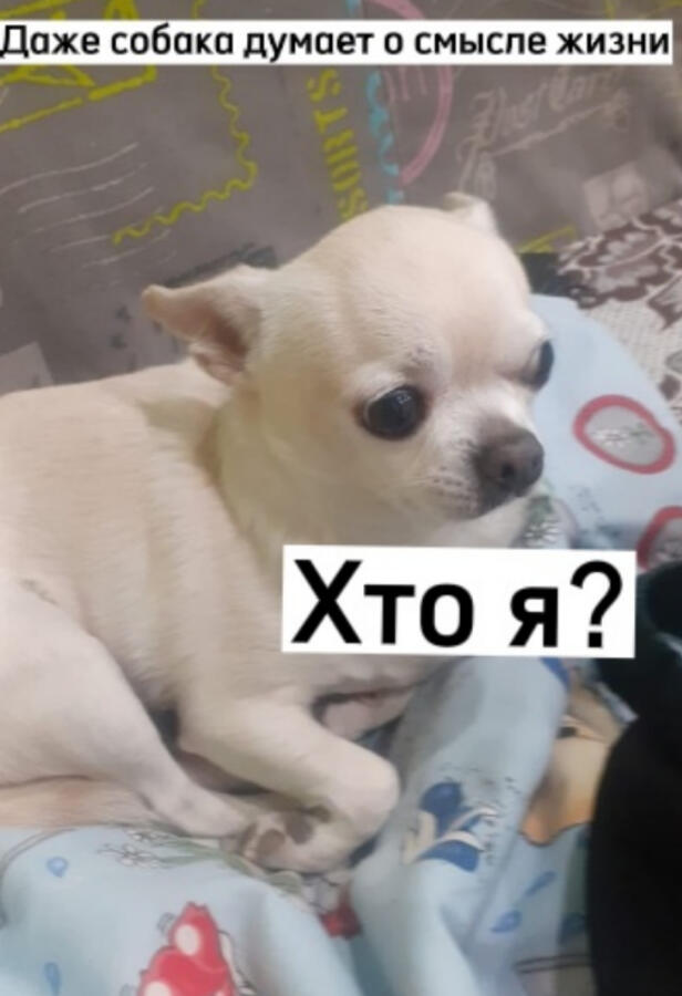 Советую и тебе подумать