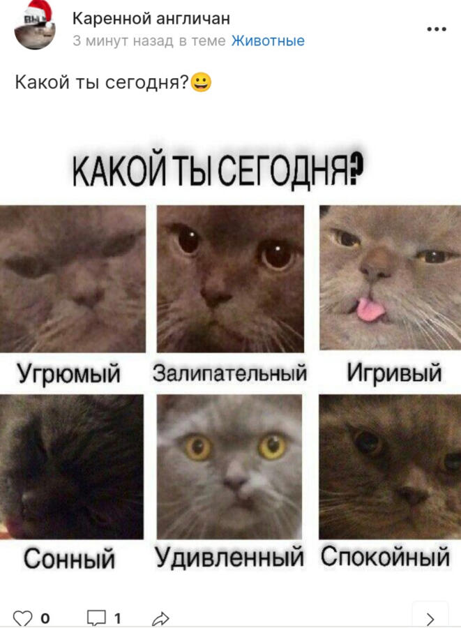 Каренной англичан, я не понял, хватит у всех мемы воровать и переделыв...