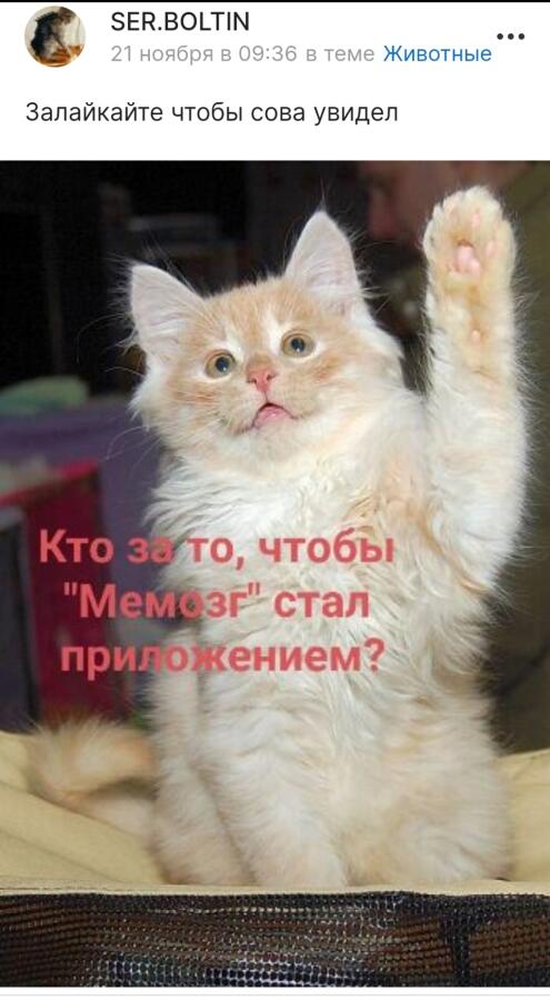 SER.BOLTIN предложил: