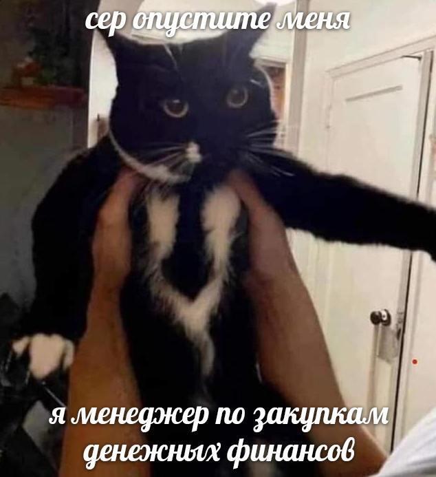 Мем без подписи