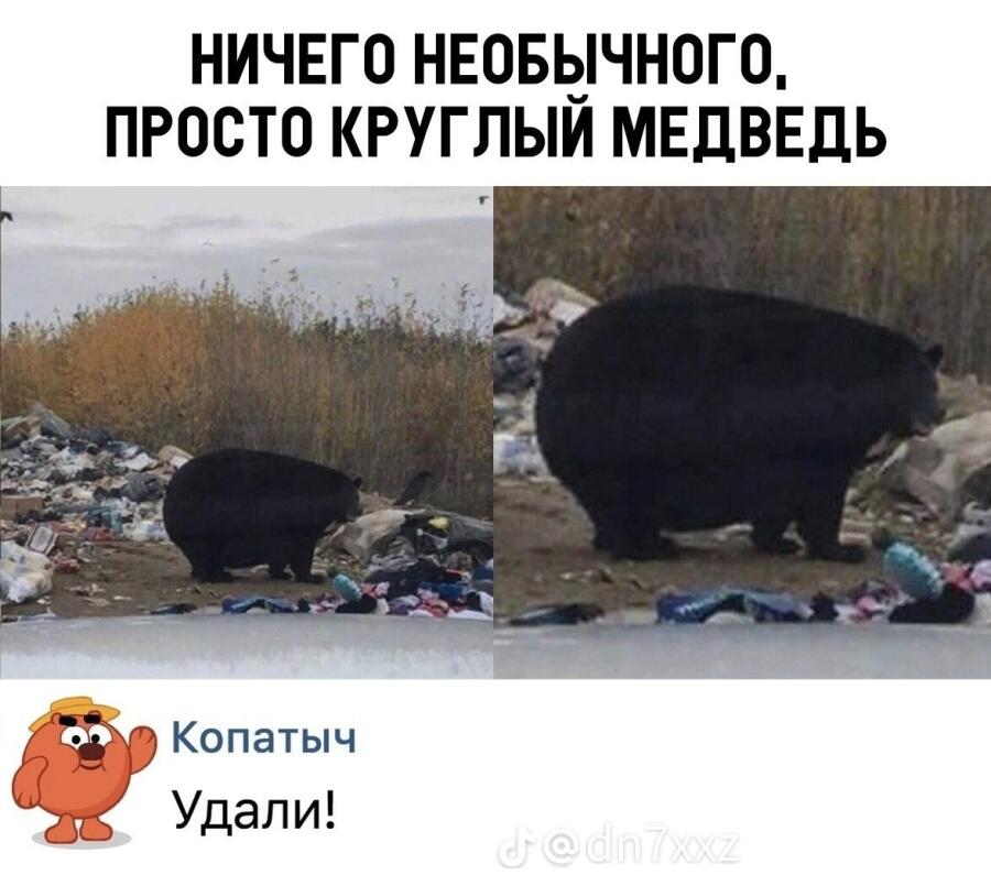 Мой друг скинул мем Я: