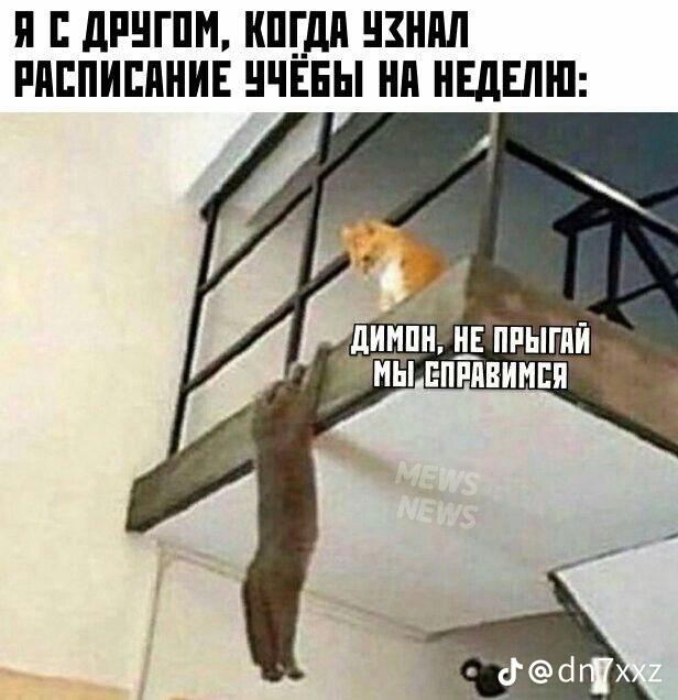 Коротко о мне: