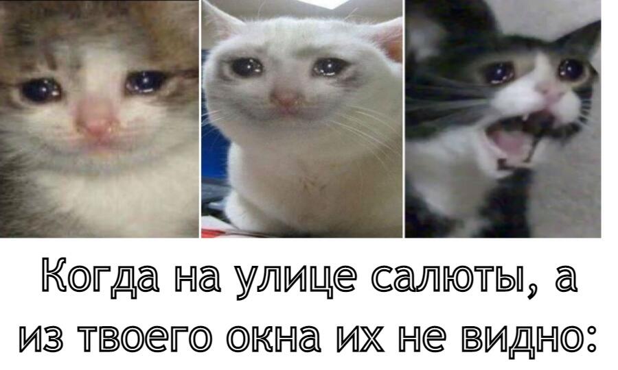 У меня из за этого щас лютая депрессия:__