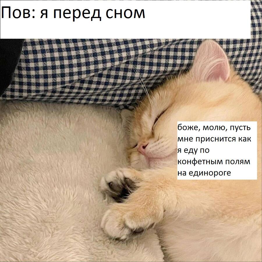 :_____