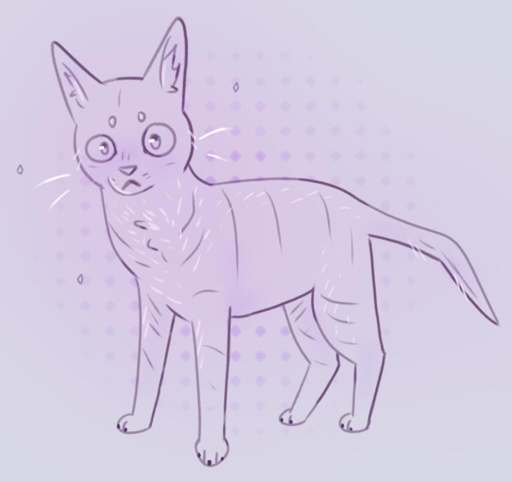 Котя моего друга 🐱
