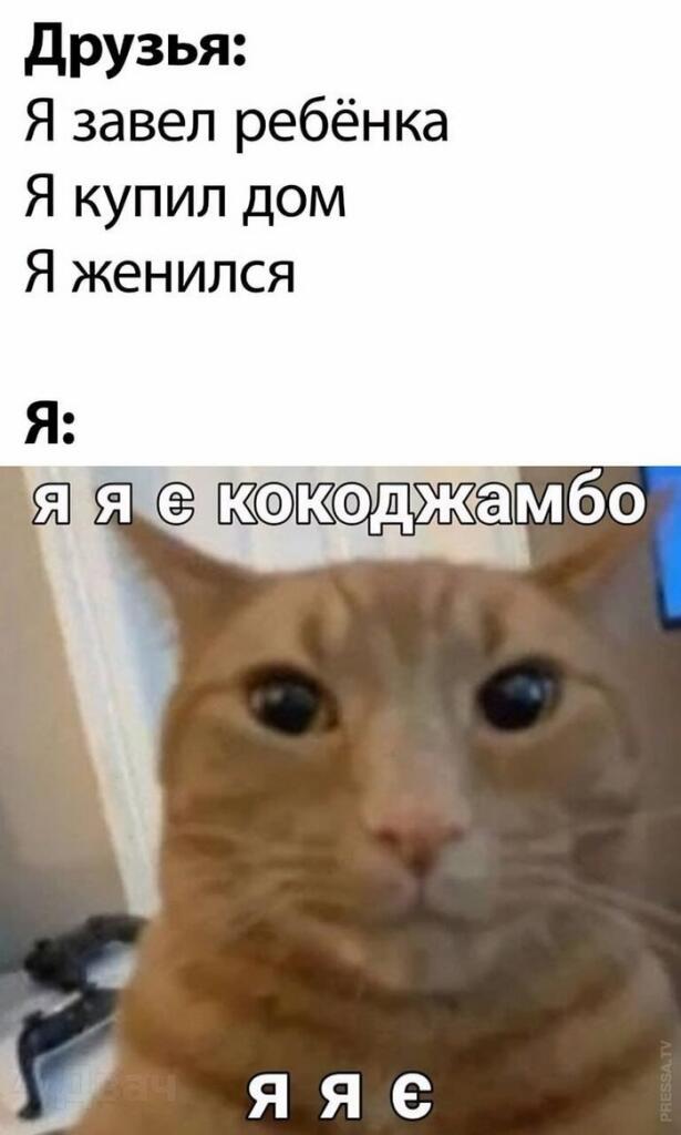 Текст